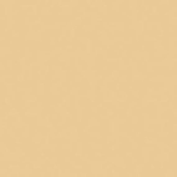 Rosco un 1/2 CTO 20X24 Amber - Rosco RS340811