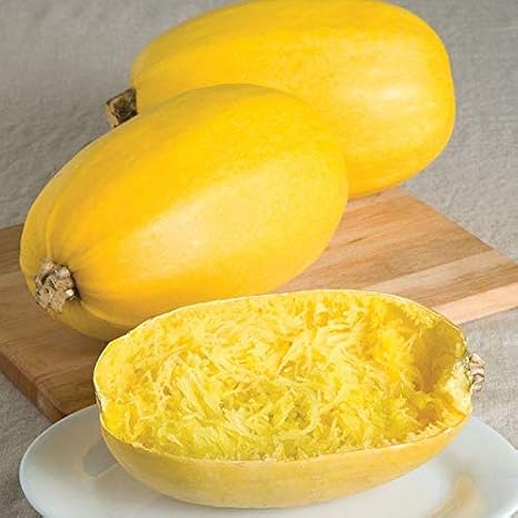 Spaghetti Squash Seeds (25 Seed Package)