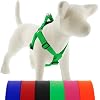 LupinePet Waterproof Splash Step in Dog Harness, Neon Green, 1-inch Wide, Girth adjusts 24-38", Made with BioThane