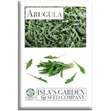 Arugula Seeds (Eruca vesicaria SSP. Sativa) 1000+ Non-GMO & Heirloom Seeds by Islas Garden Seeds, Fast-Growing Salad Green with Bold Flavor, Ideal for Raised Beds, Containers & Kitchen Gardens