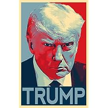 Donald Trump Mug Shot Illustration - American Political Pop Art Poster Print (11x17 inches)