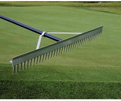 Midwest Rake 20024 24" Head Chisel Tooth Rake, 66" Blue Aluminum Handle