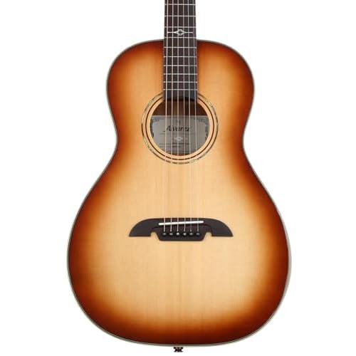 Alvarez MP60e Shadowburst Acoustic-electric Guitar - Shadowburst