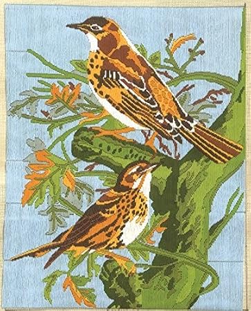 HUNNY- BUNCH Premium Anchor Stitch Kit for Children to Adults Crafters, Long Stitch Kit with Beautiful 30 Cotton Skeins (Art - AIM3000-00032 - Feathered Friends)