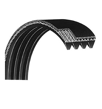d&d Pulley Drive Belt OCT630L8R Black Rubber Flexonic Poly V-Belts Pulley Belt OEM Equipment Elliptical Machine Replacement Part Works with Octane Fitness Series Q45 -Black Titanium Revev