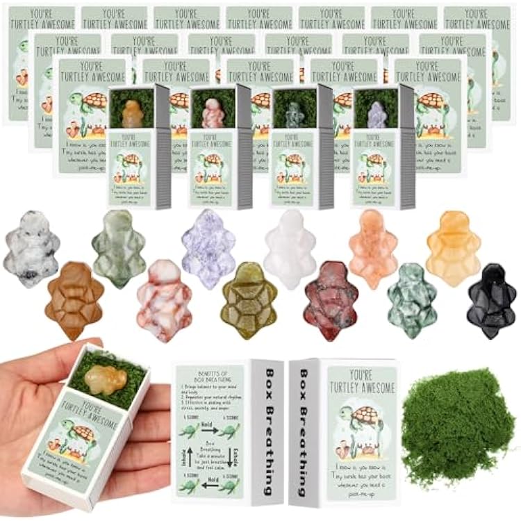 12 Set Office Positive Gifts for Coworkers Employee Appreciation Gifts Bulk Emotional Pocket Hug Support Appreciation Gift for Staff Teacher Team Gorgeous Stone