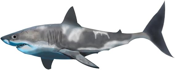 VWAQ Great White Shark Wall Decal Peel & Stick Room Decor (9.5" H X 24" W)