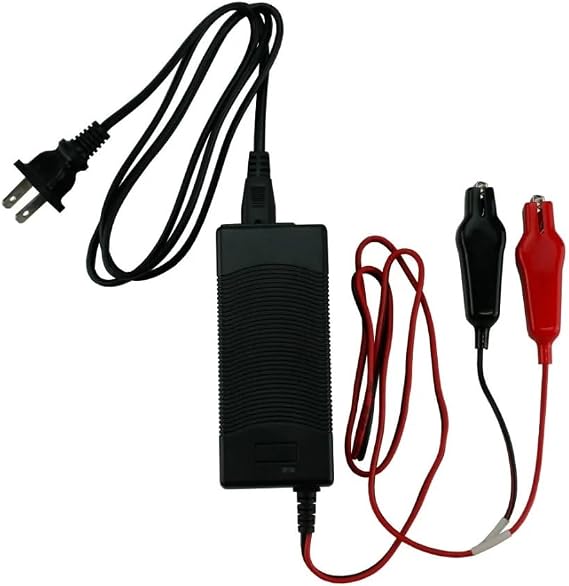 12V 3-Amp 3A Smart Fast Charger for Lithium Iron Phosphate (LiFePO4) Battery