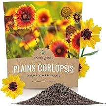 Plains Coreopsis Seeds Native Flowers Extra Large Packet Over 100,000 Open Pollinated Non-GMO Wildflower Seeds Coreopsis tinctorial