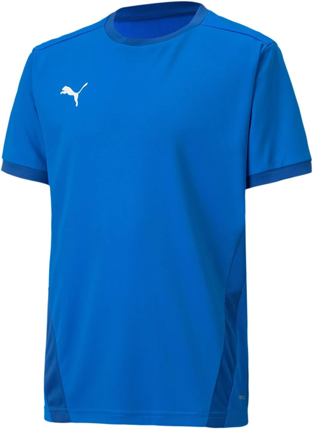 PUMA Kids Youth Teamgoal 23 Jersey