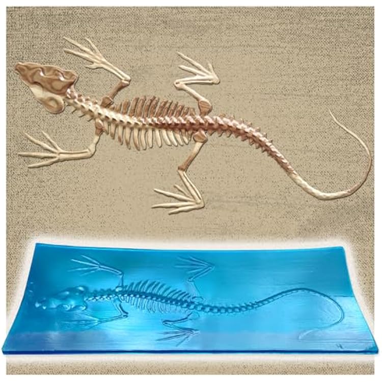 Polyurethane Mat Stamp RELICT LIZARD | Concrete Cement Stamping Pattern Imprint Decorative Texture Form Mold Tool Texturing