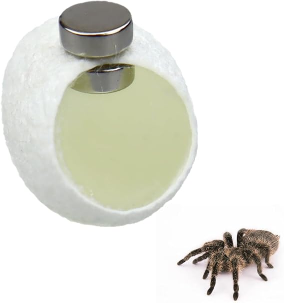 10 Pack Silk Cocoons with Magnets for Jumping Spiders Spoods Hides Silk Cocoon Spider Hide Jumping Spider Enclosure Jumping Spider Habitat Accessories