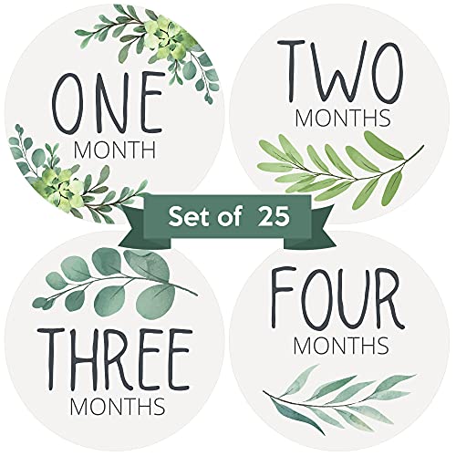 Baby Monthly Stickers - Set of 25 - Greenery Botanical Baby Milestone Stickers - Monthly Milestones for Newborn Boys or Girls - Sage Green Boho Eucalyptus Unisex Gender Neutral Design - Set of 25