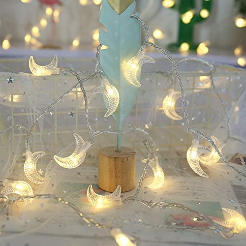 MYBUDDY Moon String Lights,Outdoor LED String Lights 10FT Set of 20 LED for Wedding Garden Decoration,Party Festival Lights, Christmas Thanksgiving Decor