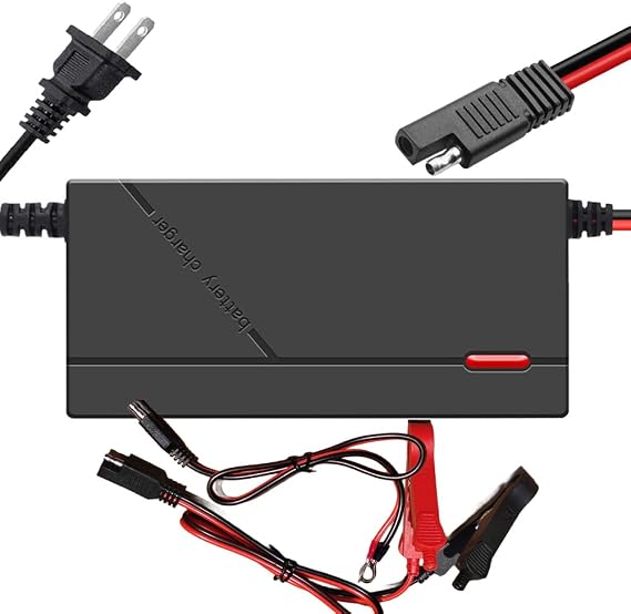 10 Amp 12V (14.6 Volt) LiFePO4 Smart Battery Charger