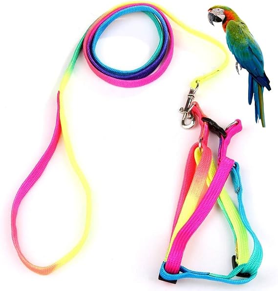 Hypeety Bird Harness and Leash with Buckle Adjustable Vest for Outdoor, M