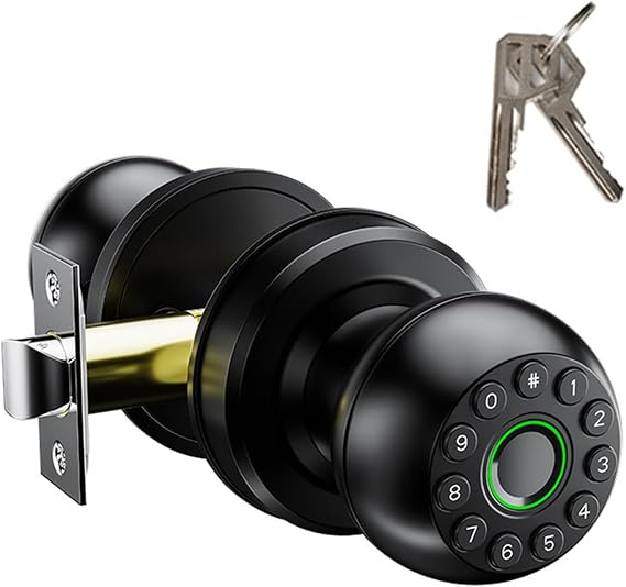 Fingerprint Door Knob, Electric Door Lock, Smart Lock, Biometric Lock, Smart Lock with App Control, Type-C Charger, Intelligent Door Handle