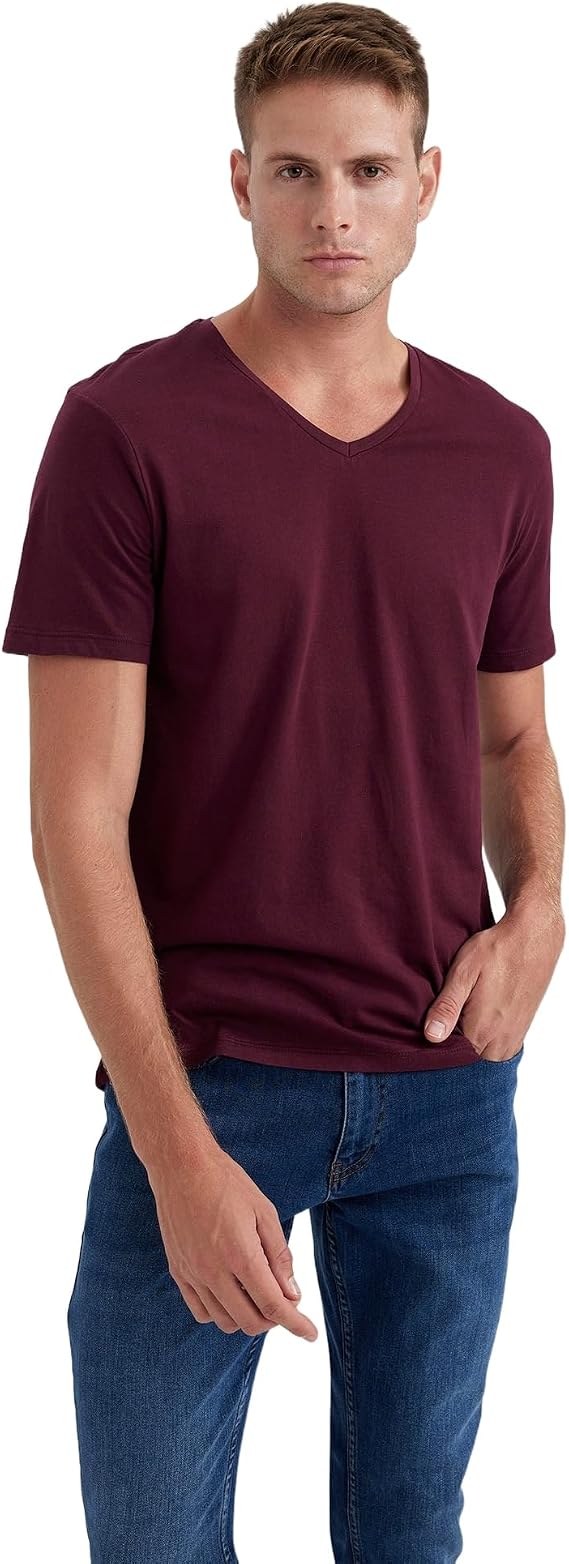 DeFacto Men's Slim Fit V-Neck T-Shirt