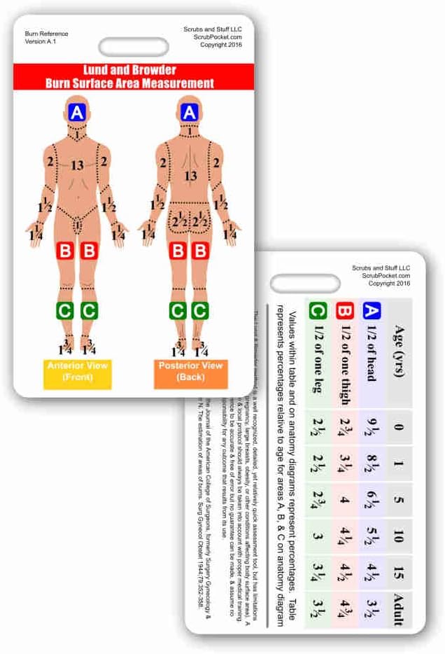 Lund and Browder Burn Chart Vertical Badge Reference Card Pack of 5