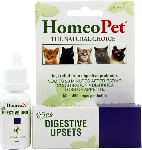 Dog Digestive Upset