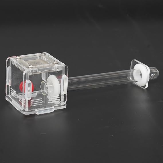2x2x2 Inch 15mm Acrylic Transparent Ant Nest - Mini Ant Farm, Small Colony Observation