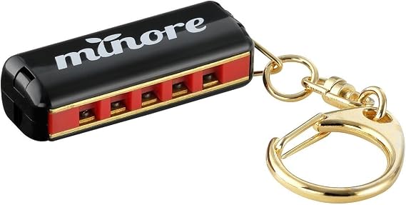 Suzuki 5 hole harmonica key ring