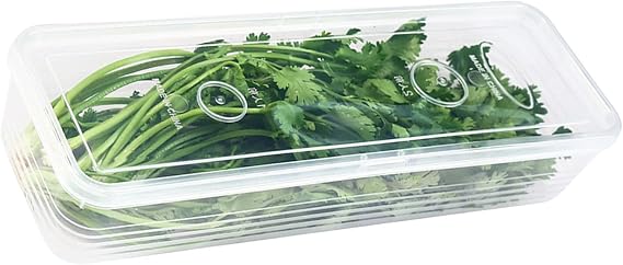 Food Grade Long Rectangular Storage Box Seal Container for Kitchen Pantries and Fridge Organization