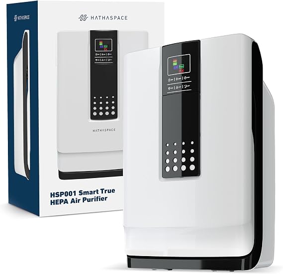 HATHASPACE HSP001 True HEPA Air Purifier