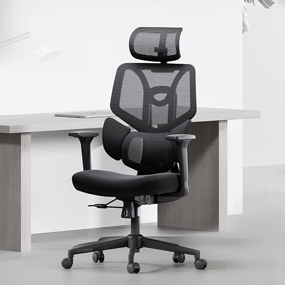 Hbada E3L Ergonomic Office Chair Elastic Adaptative Adjustment Back Lumbar Support, Computer Chair High-Density Breathable Mesh with 115 Rocking, Black