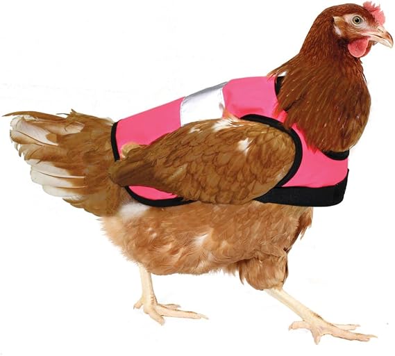 Omlet High-Vis Chicken Jacket | Warm Winter Hen Saddle | Insulation and Cold Weather Protection for Your Hen | Breathable, Showerproof Fabric | Pink