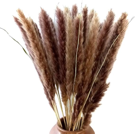 60 Stems 22 Inch Natural Dry Flowers Small Pampas Grass, Phragmites Communis, Dried Flowers Bouquet for Wedding Floral Arrangements Home Decorations (Brown)