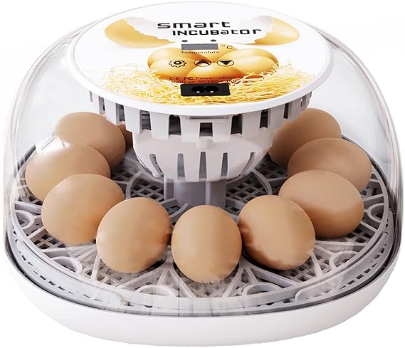 Egg Incubators, 12 Eggs Chicken Incubators Farm Poultry Hatcher Machine, Automatic Egg Turning Temperature Control for Hatching Eggs Chicken Duck Goose Quail Parrot Turkey