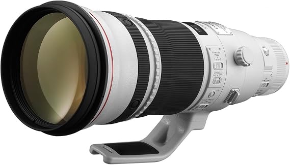 Canon EF 500mm f/4L is II USM Lens