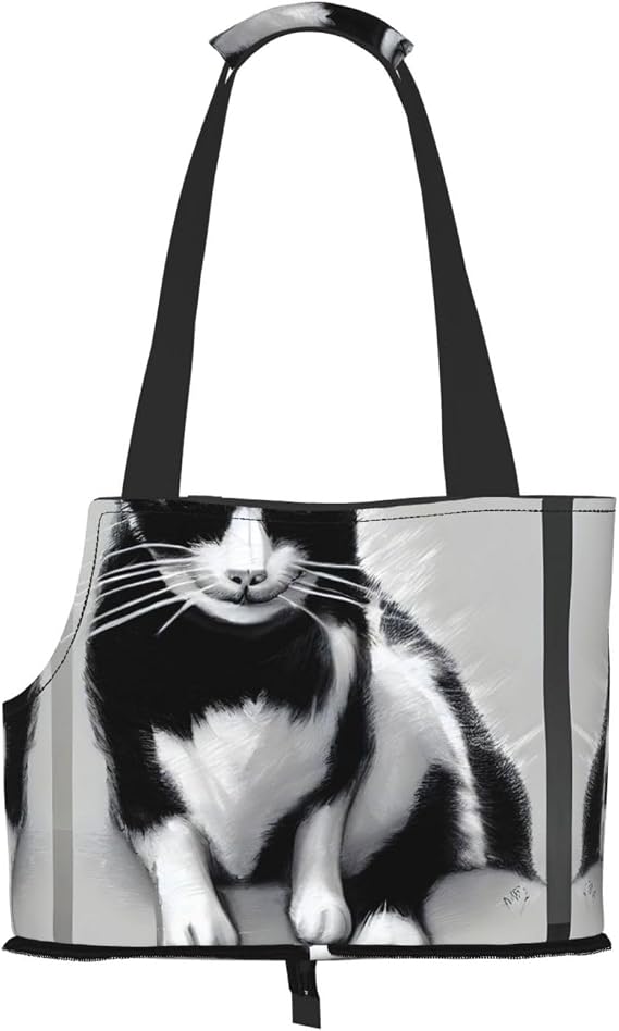 Soft Sided Collapsible Pet Travel Carrier for Medium Cats and Puppy, for Subway/Shopping/Hiking,Black and White Cats Print