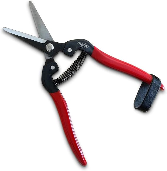 TABOR TOOLS K7A Pruning Snips 7,5" Carbon Steel Flower Pruning Scissors for Gardening | Floral Snips and Pruners for Deadheading, Trimming & Harvesting Herbs, Flowers, Fruits or Vegetables