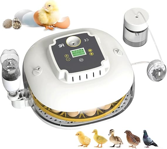 Egg Incubator, Temp and Humidity Display, Automatic Egg Turning and Drying, Egg Candler, Egg Incubators for Hatching Eggs, Automatic Water Filling, 22 Egg Incubator for Chicken Quail Duck