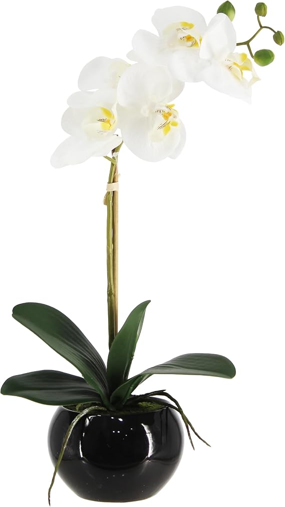 Orchids in Ceramic Pottery,Fake Orchid with Real Touch Stems Faux Orchid