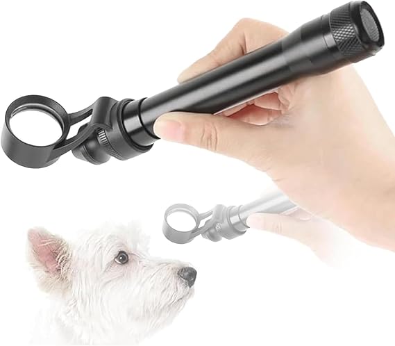 Handheld Slit Lamp Microscope, Portable Led Slit Lamp Microscope, 5X Magnification, for Pet Hospitals,Ophthalmologic, Lab, Schools