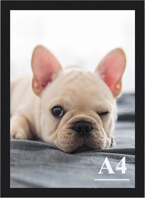 RUN HELIX A4 Picture Frame, Wall Gallery Photo Frames,Stable and Sturdy Black Frame with High Definition Plexiglass,A4 Poster Photo Frame,Horizontal and Vertical Formats for Wall Hanging, Black