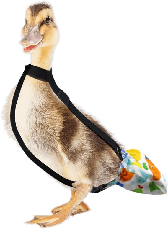 Duckling Diapers for Pet Ducks - 1 to 2 lbs, 3 Weeks to 4 Weeks of Age - Baby Duck & Gosling Diapers