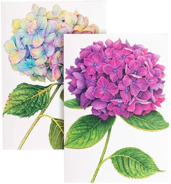 Caspari Boxed Note Cards, Hydrangeas, Box of 8