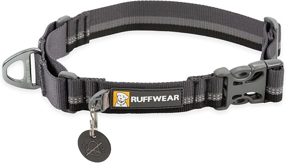 Ruffwear, Web Reaction Martingale Dog Collar, Basalt Gray, 11"-14"