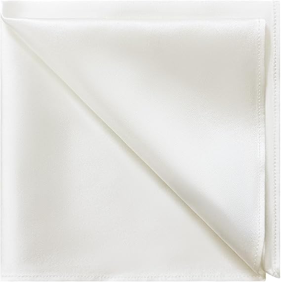 DAISYSILK 100% Mulberry Silk Pocket Square for Men, 19 Momme