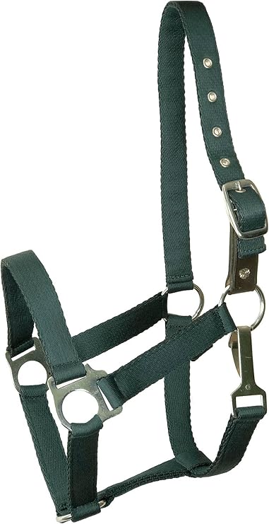 Gatsby Nylon Safety Breakaway Halter Weanling Hunt