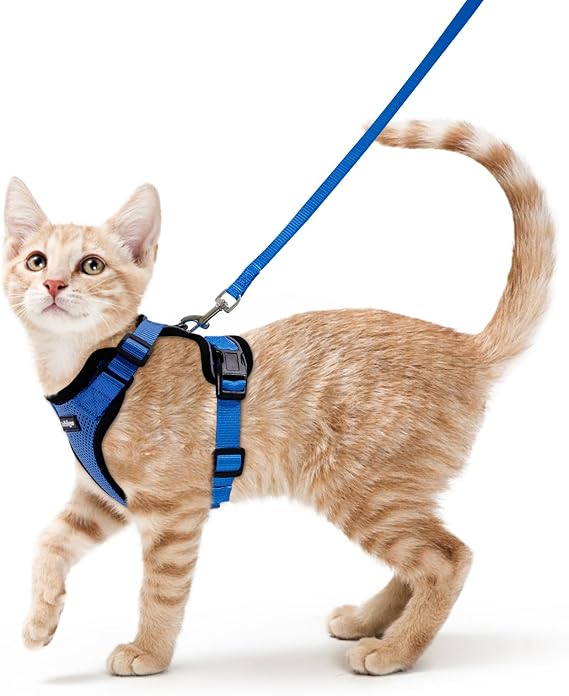 rabbitgoo Cat Harness and Leash Set, Escape Proof Vest, Navy Blue