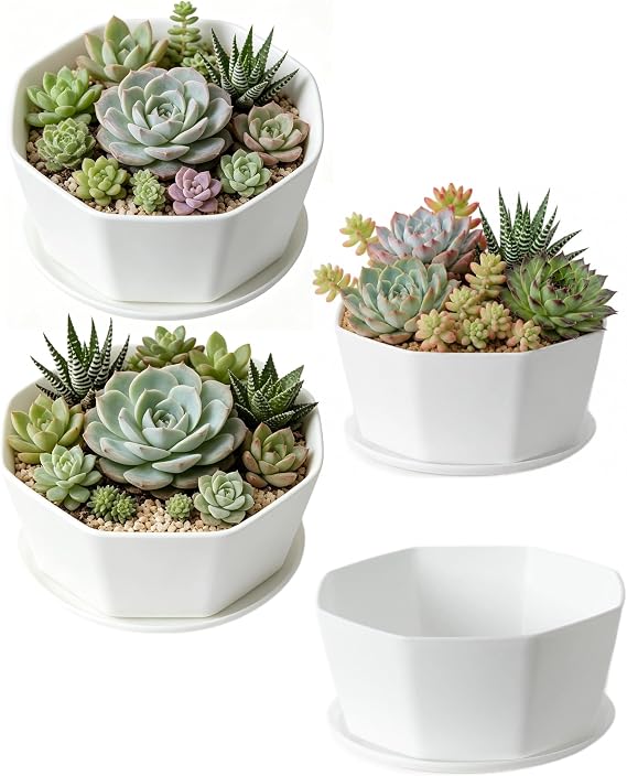 4 Pack Shallow Succulent Plant Pots with Tray and Drainage Holes, Shallow Planter for Indoor and Outdoor Gardening, Succulent pots for Succulents Cactus and Herbs (5.9 Inch)