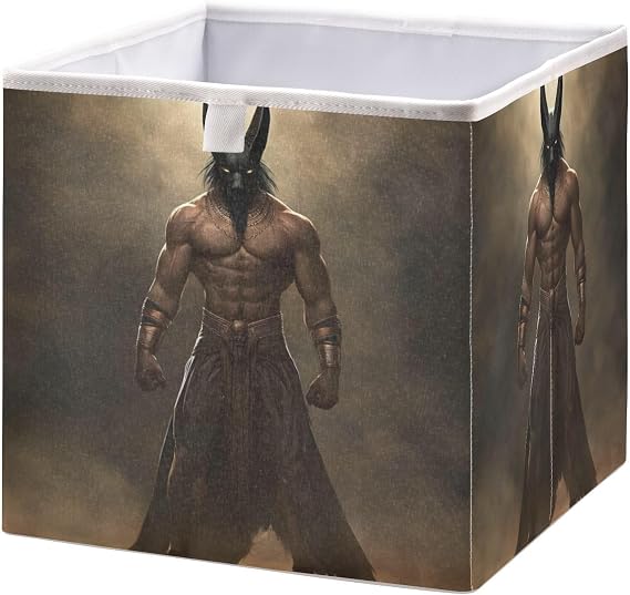 Foldable Fabric Anubis Man Closeup Storage Bins with Handles Sturdy Organizer Cubes for Bedroom Rectangular