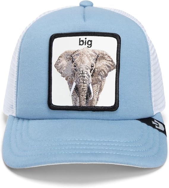 Goorin Bros. The Farm Unisex Kids Trucker Hat, Light Blue (So Big), One Size