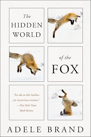 The Hidden World of the Fox: A veteran ecologist's twenty-year global study reveals the red fox's secret intelligence, myth, and urban survival