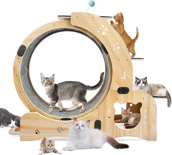 Cat Exercise Wheel - Made of Birch & Poplar Wood, Detachable Anti-Scratch Mat, Ultra-Quiet Design for Indoor Cats Interactive Play, Exercise, and Res (6 in 1 Exercise Wheel)